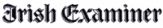 Irish Examiner logo